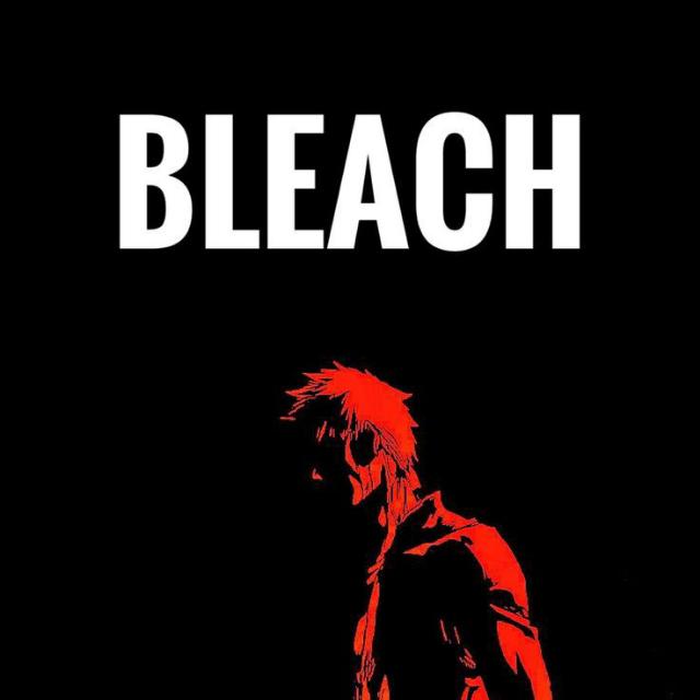 Bleach Stuffs