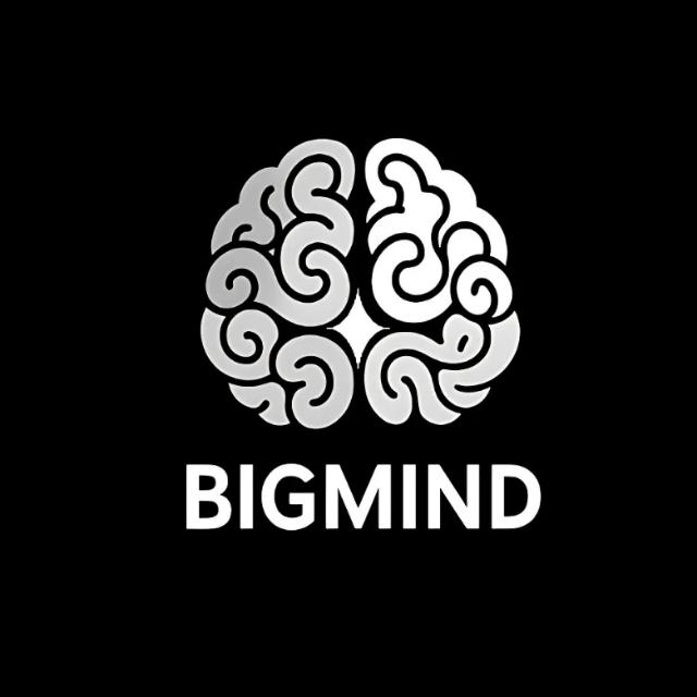 BIGMIND