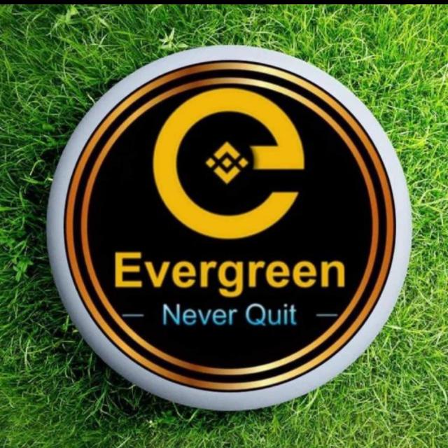 Evergreen would BNB online business in Pakistan 🇵🇰🇵🇸🇦