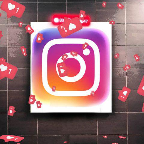 Instagram Followers