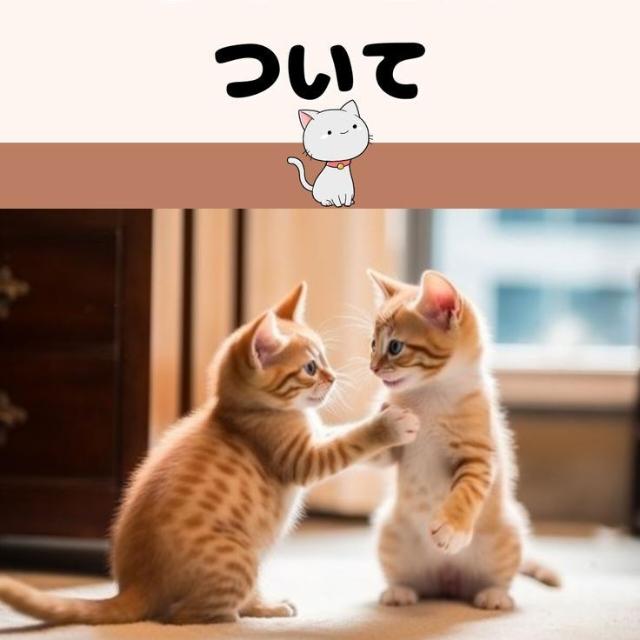 GB OPTES ALL BASE 444EVR #2