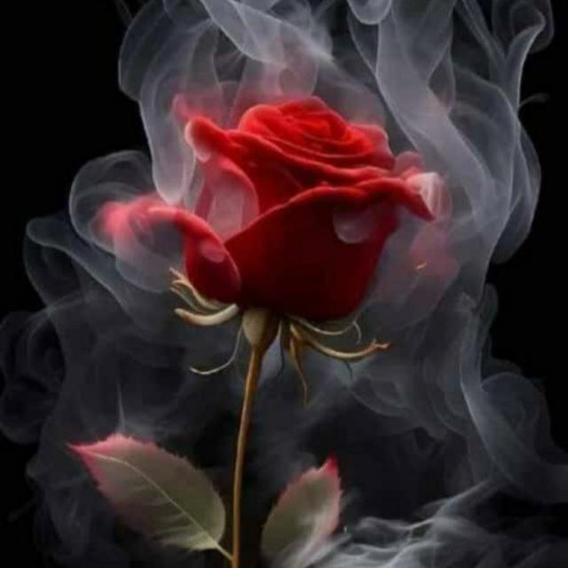 නිසදෑස් සහ කෙටි කතා ?✍️