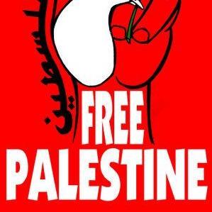 SAVE PALESTINE DONATION Whatsapp group