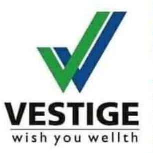 Vestige youths team