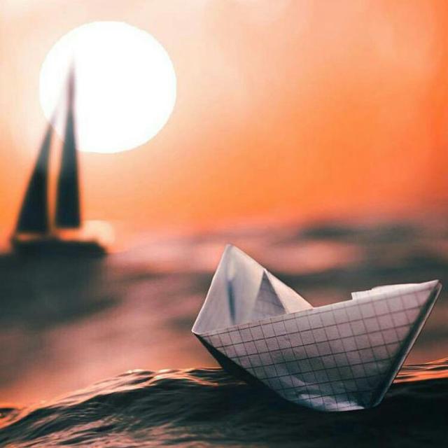 FF Account Selling Group ??