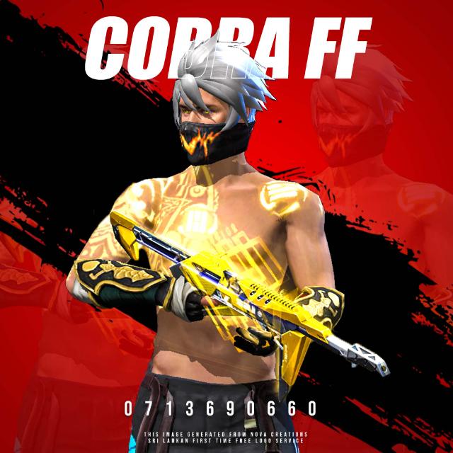 COBRA FF ACCOUNT STORE ( group 2 ) 