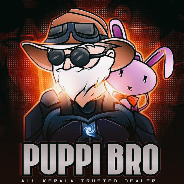 ?????  ????  ??????  ????? 1️⃣