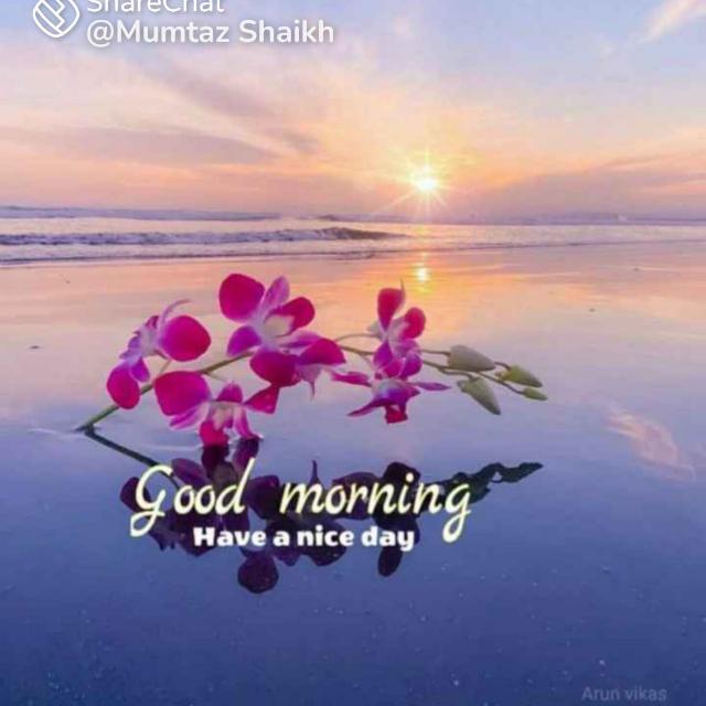 Number vanuma coming inbox