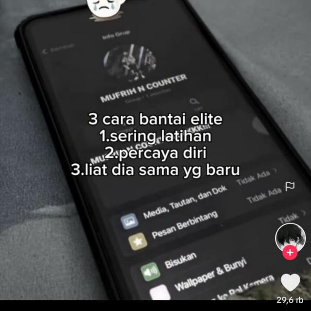 STOCK RESS BY HAMM STORE¹