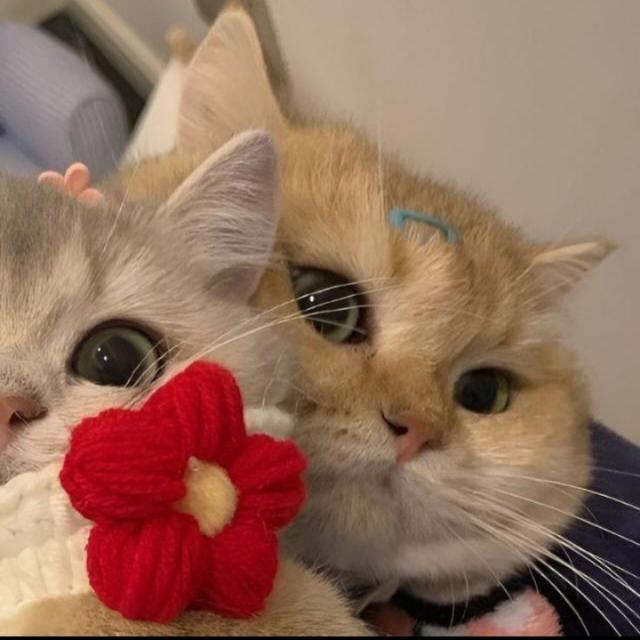 ?ഫ്രണ്ട്സ് കലവറ?