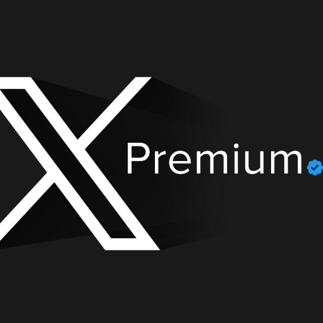 X Twitter earning work 