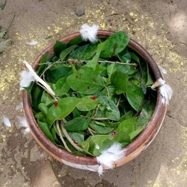 Les recettes naturelles et la richesse ?