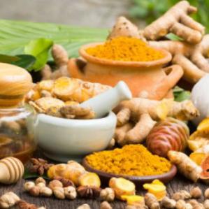 Ayurvedic health Group