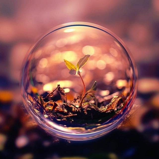 ??? ????❤︎☺︎︎❤️