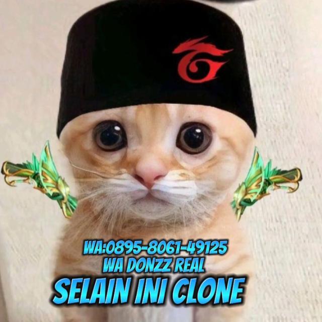 50MEM LANGSUNG KUISS..