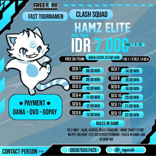 FT CS BY HAMZ ELITE ?