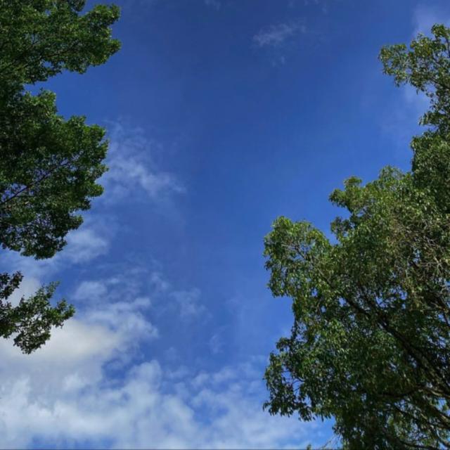 GB ISIAN BY YANZ CS¹