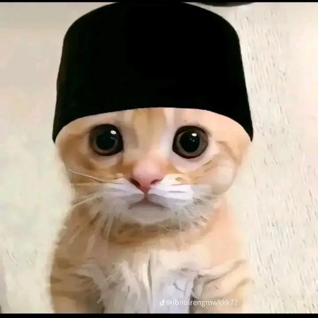 PERKUMPULAN PARA BATANG?