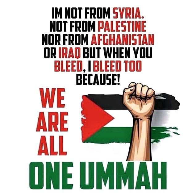 ??????? ?????????? ??