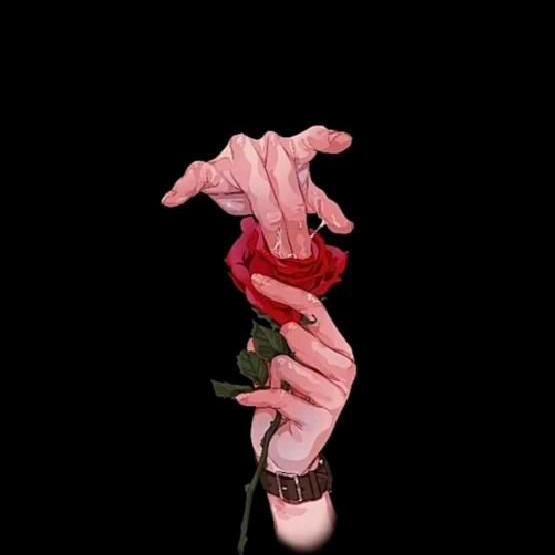 Only seamless and CD ?