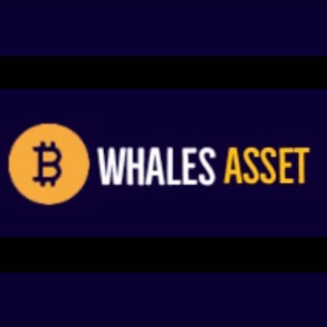 Whales-asset investment corporation