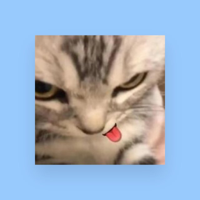 STOCK¹ NAEL STORE X RAMZ STORE