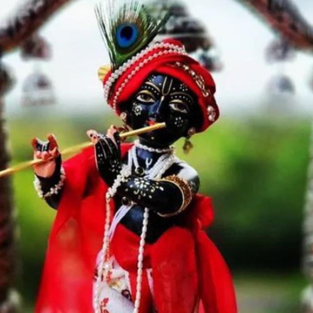 little_krishna_official