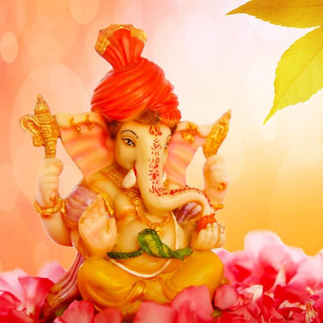 Paper discussion for  G.C.E O/L 2023(2024) &amp;9A+