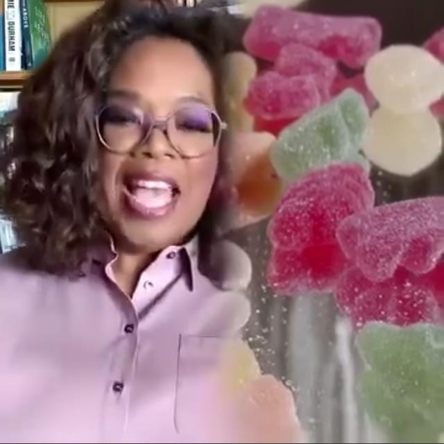 ???? ??? ?????? ????