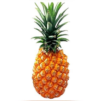 Welcome to the Fun House