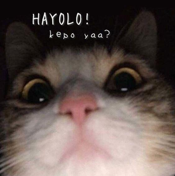 ????? ??? ??? ??? ??????