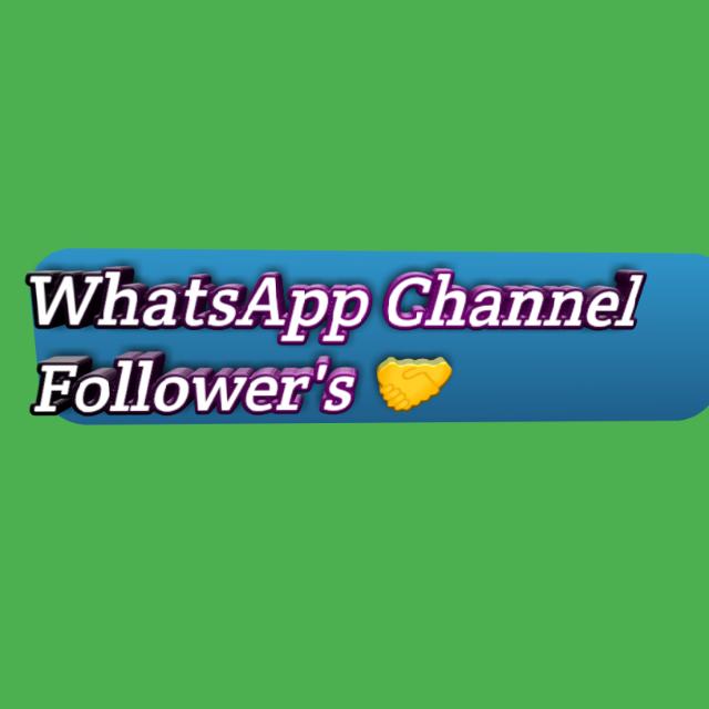 WhatsApp Channel Follower's ?