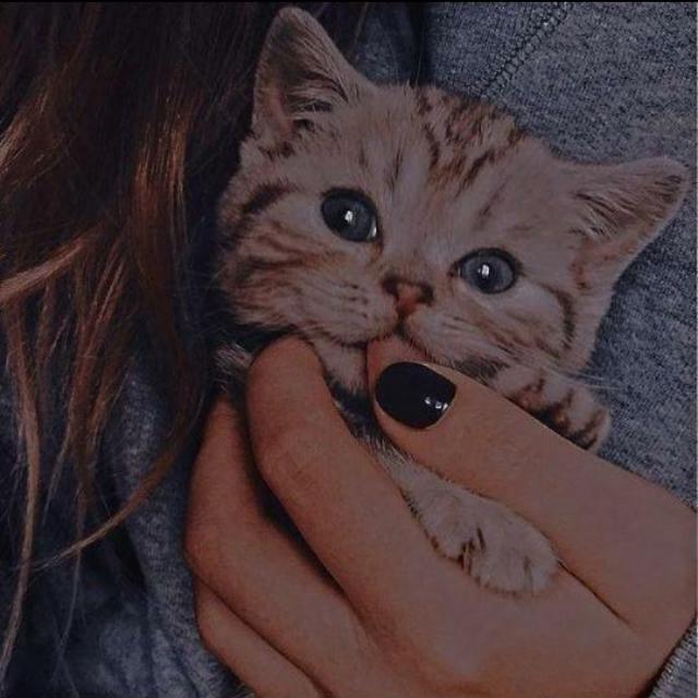 ??? ???? ?????? ??????? ???