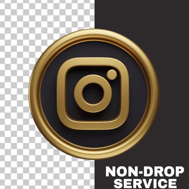 INSTAGRAM NON-DROP SERVICE