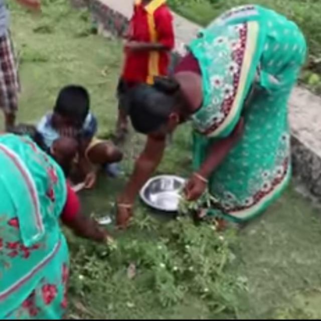 மூலிகை ?குரூப்பு?