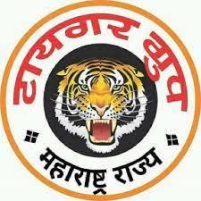 ??TIGER GROUP NAGPUR ??