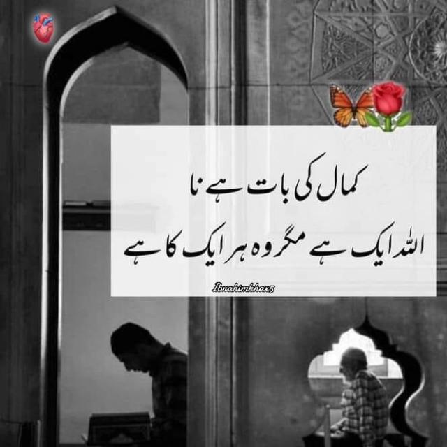 ✨💕پویی ٹری Lovers !!⚡🎀✨