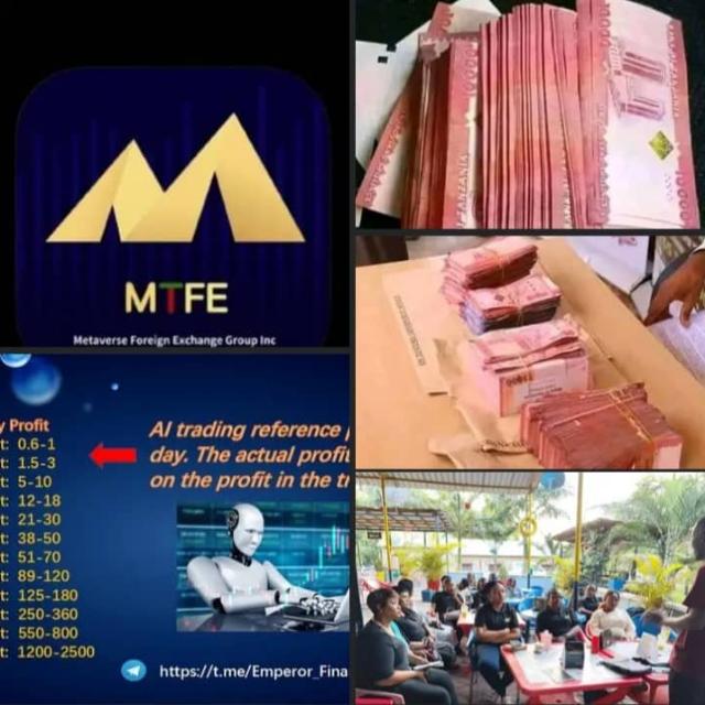 MTFE TANZANIA TRADING 🇹🇿