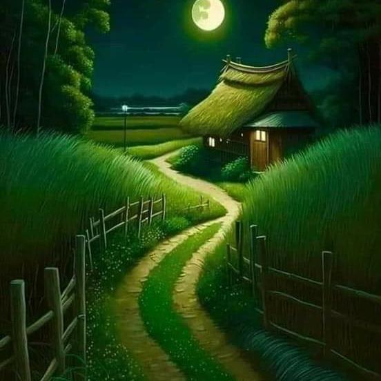 STOK•dzaka x OWN STORE