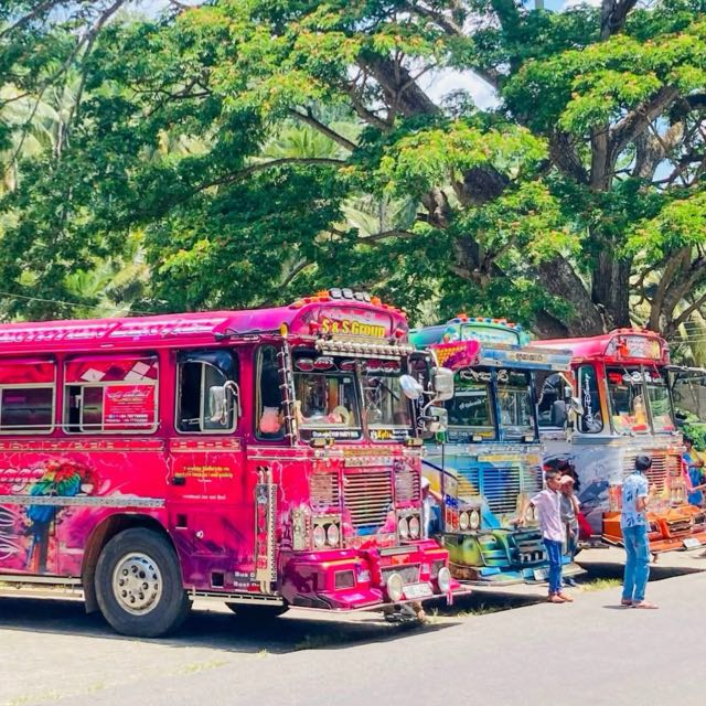 F A N T A S Y ᥫ᭡" ??