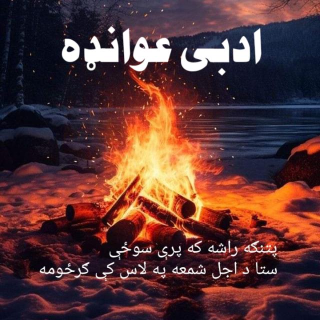 شعر شاعری گروپ عربی،پشتوں،اردو،فرسی۔۔۔۔اور ھا شاعری کتاب بھی