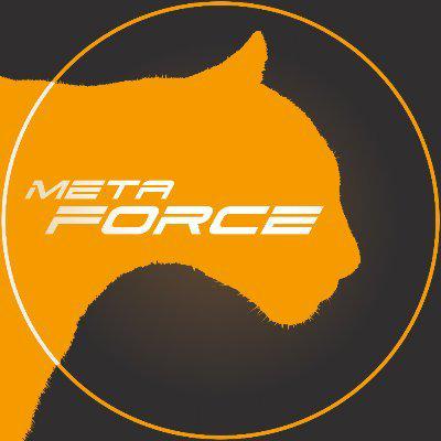 META FORCE ONLINE