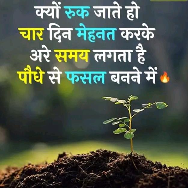 Real loan group 100% real