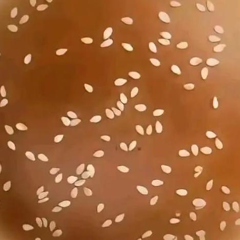 •Virtual Friend•