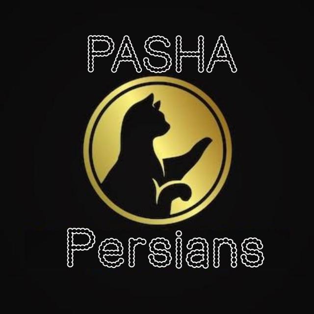 ????? ???????? ??? ?