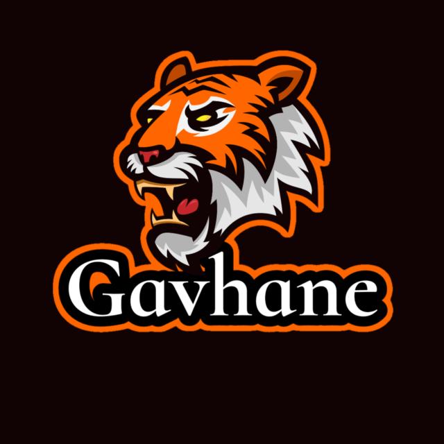 Gavhane Gamer