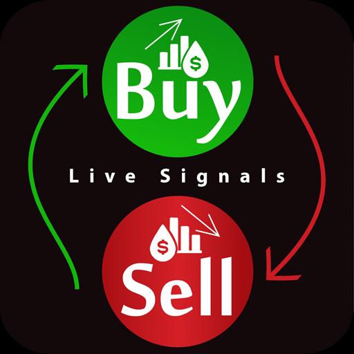 XM Forex free signal 