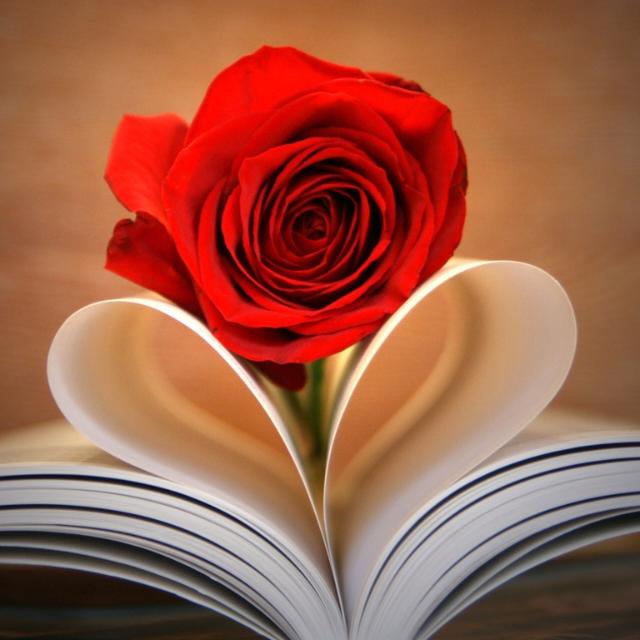 ?꧂➻?➻ආතල් ලෝකය➻?➻?꧂