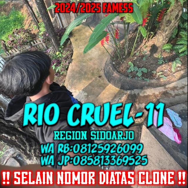 STOK || RIOCRUEL-11 X OWN/PT²