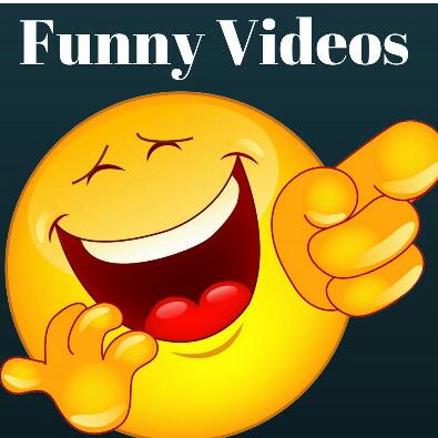 Funny videos 